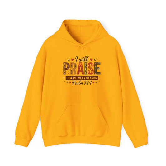 Hooded Sweatshirt with 'I WILL PRAISE' Design