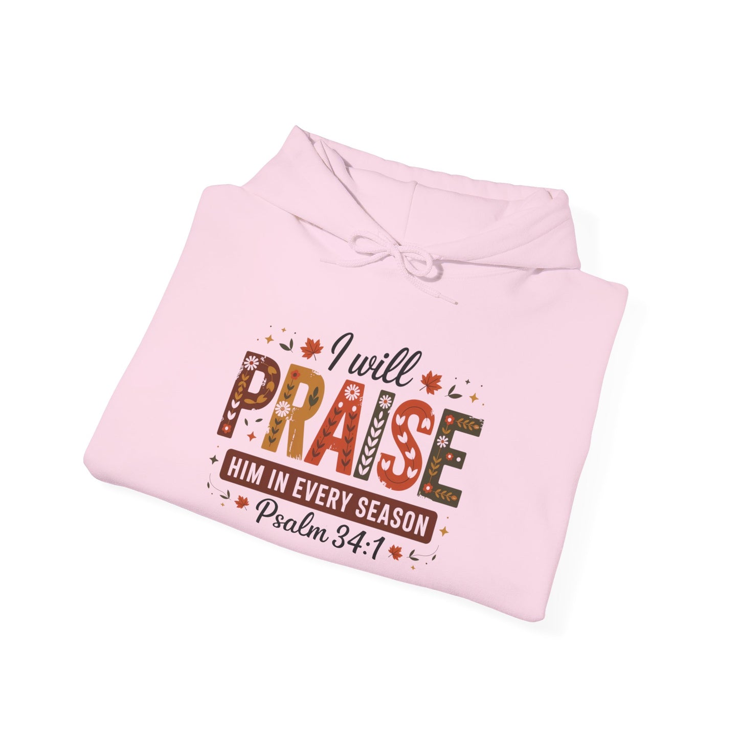 Hooded Sweatshirt with 'I WILL PRAISE' Design