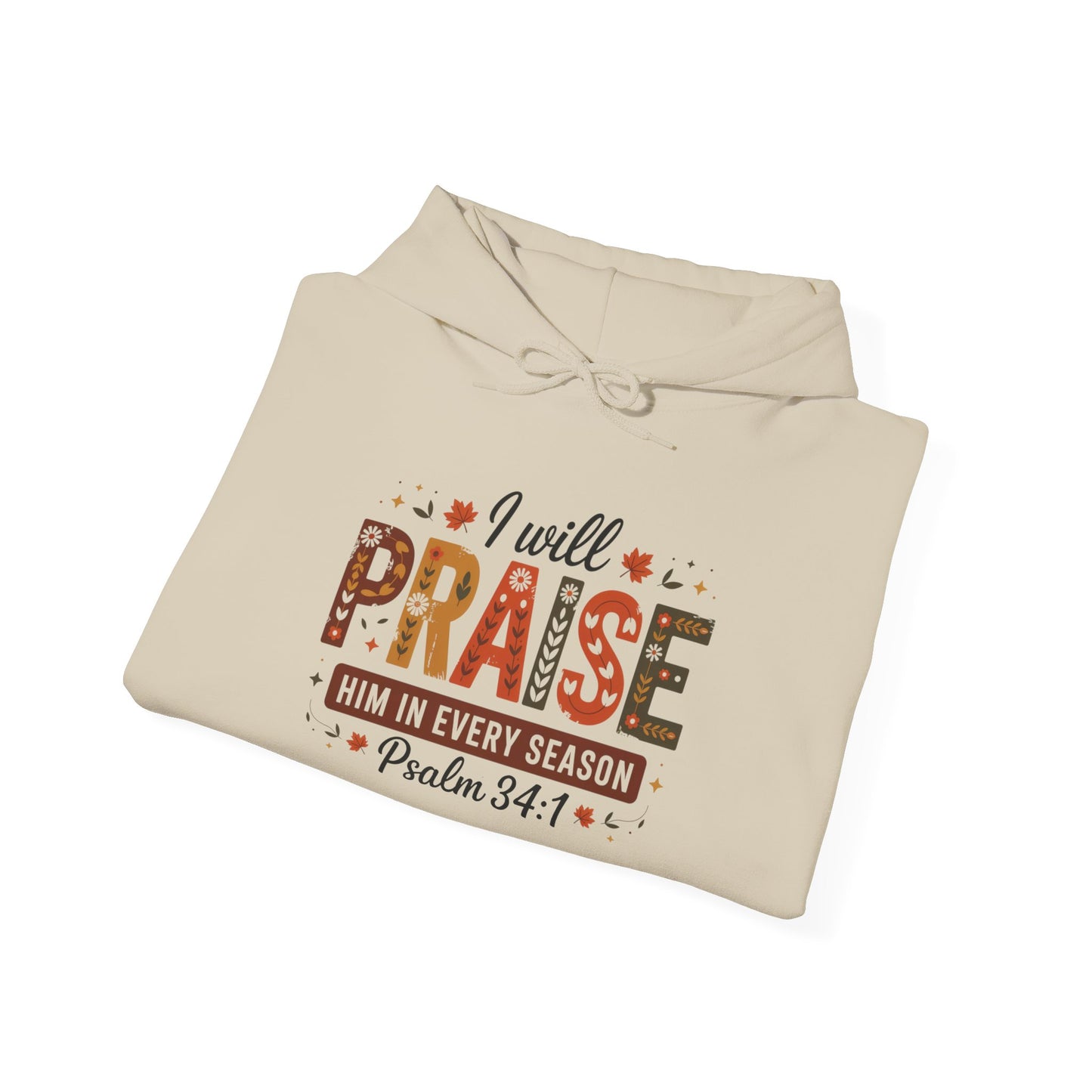 Hooded Sweatshirt with 'I WILL PRAISE' Design