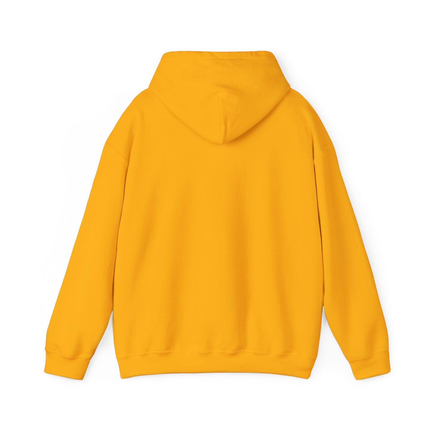 Hooded Sweatshirt with 'I WILL PRAISE' Design