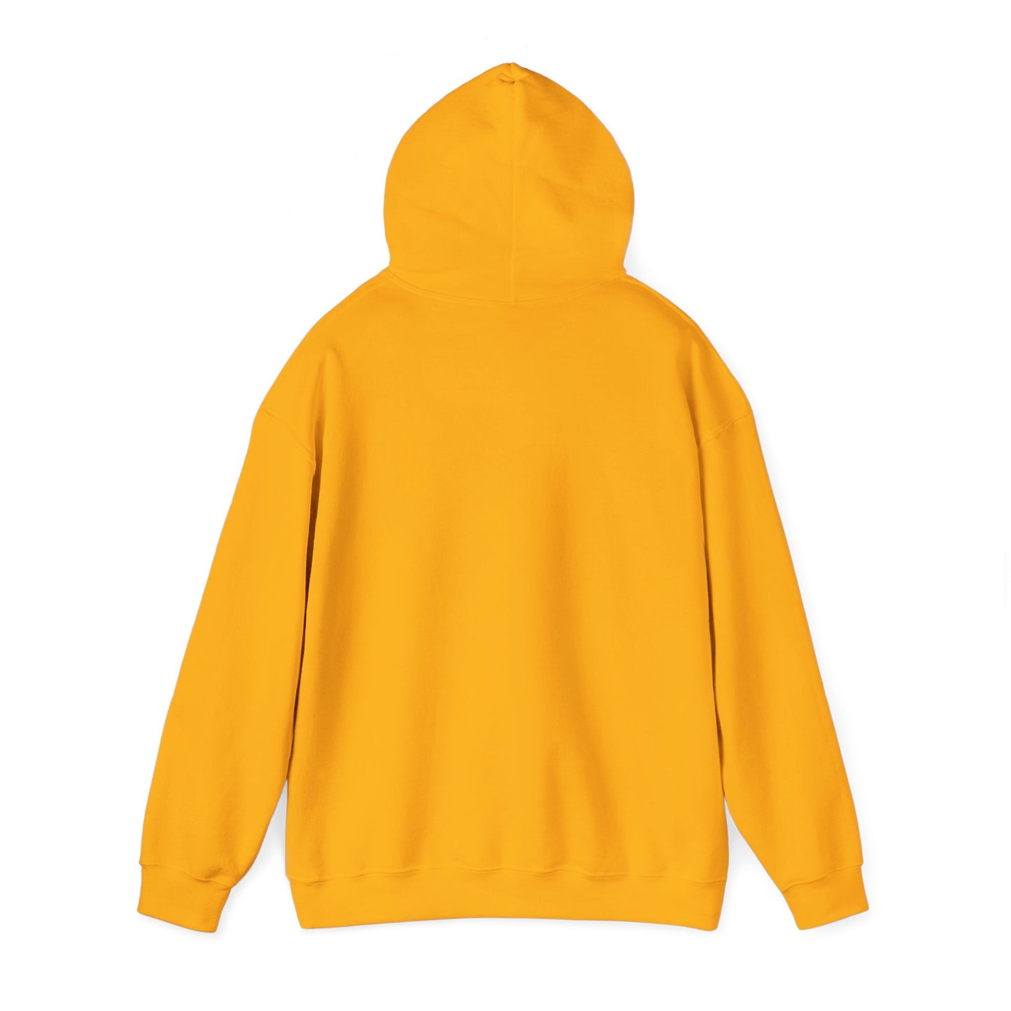 Hooded Sweatshirt with 'I WILL PRAISE' Design