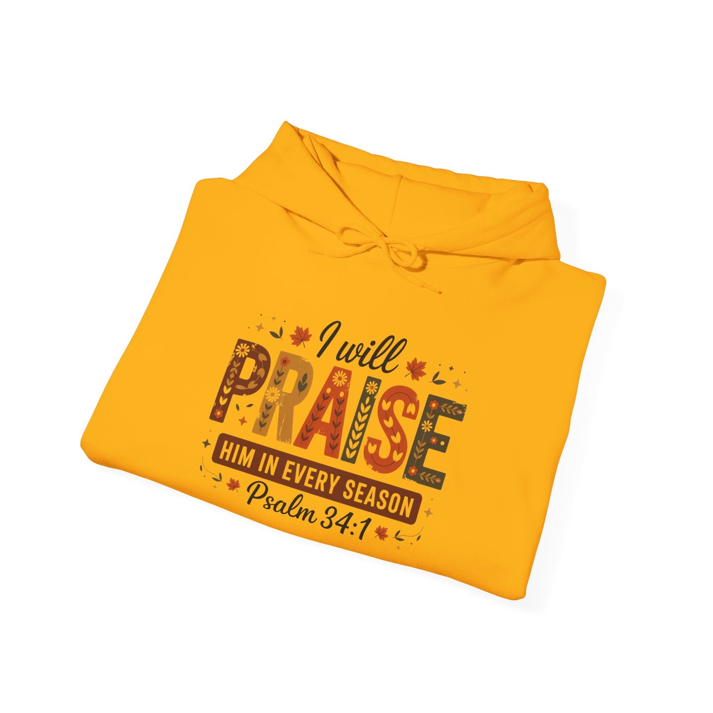 Hooded Sweatshirt with 'I WILL PRAISE' Design